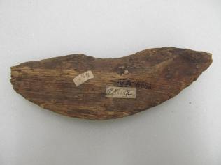Wooden Fragment – IV.A. 6682 B